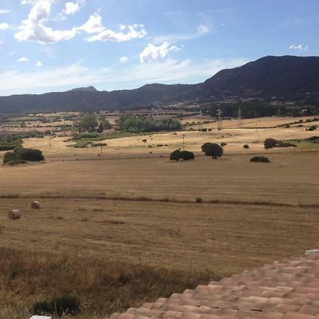 Bed and Breakfast Anno Domini Olbia Exterior foto