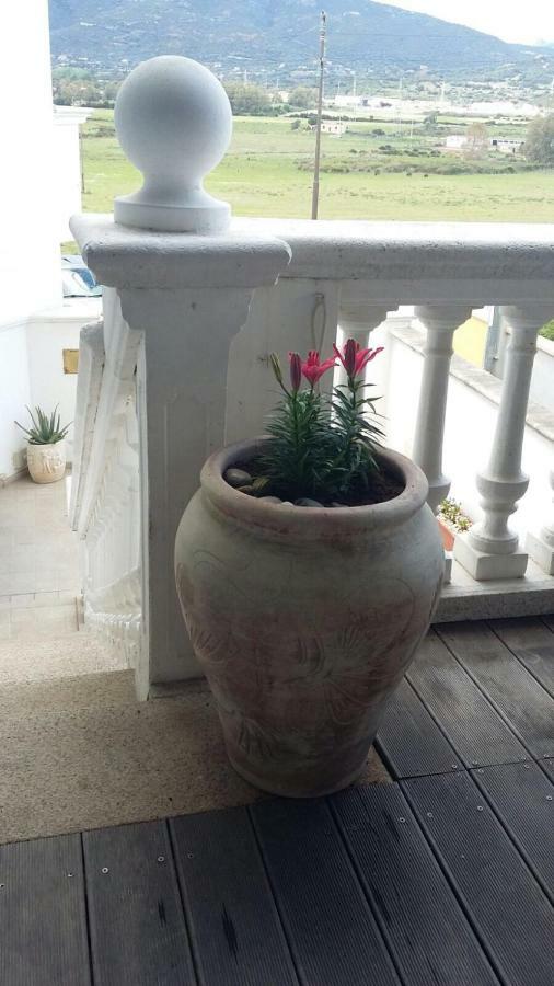 Bed and Breakfast Anno Domini Olbia Exterior foto