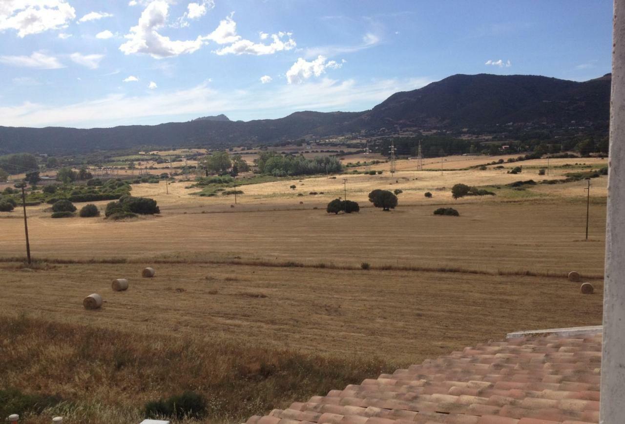 Bed and Breakfast Anno Domini Olbia Exterior foto